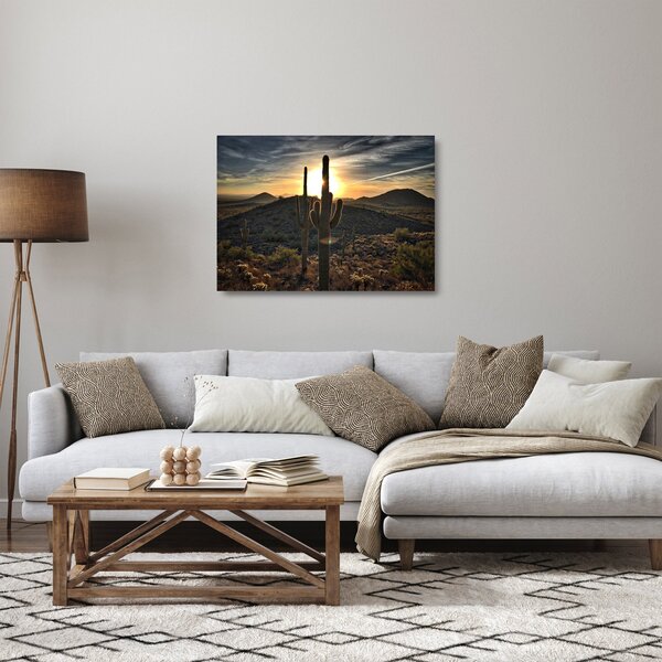 Kép - kaktuszok a napon (üvegen) (70x50 cm)