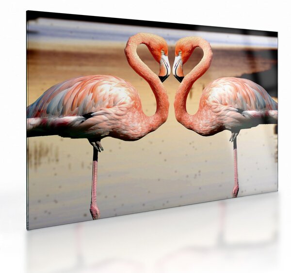 Kép - két flamingó (üvegen) (70x50 cm)