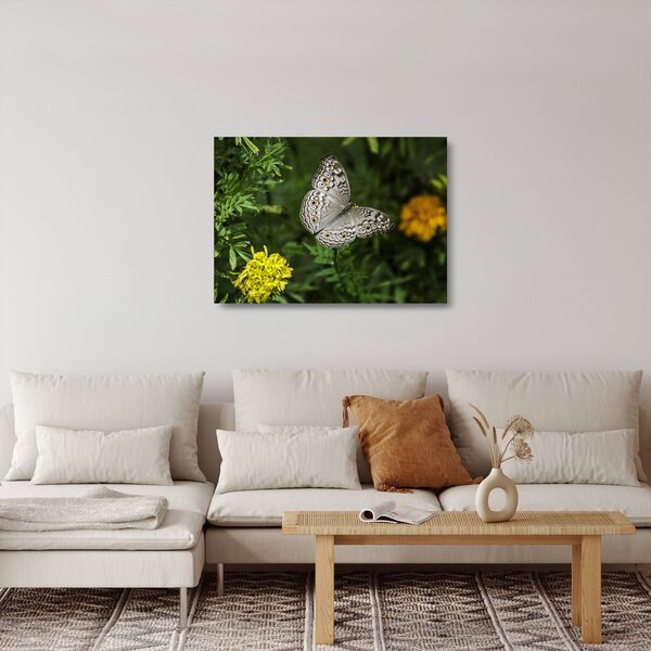 Kép - fehér pillangó (üvegen) (70x50 cm)