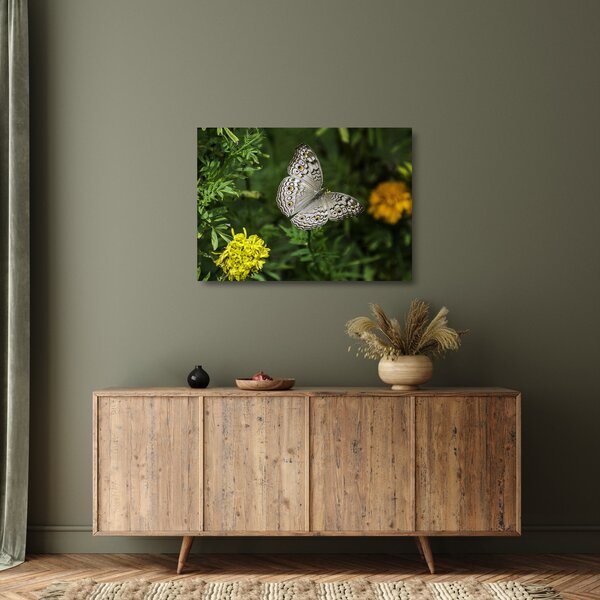 Kép - fehér pillangó (üvegen) (70x50 cm)