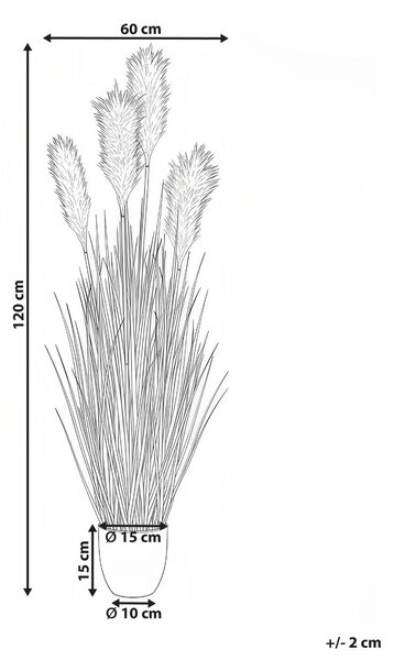 Műnövény CORTADERIA GRASS 120 cm Zöld