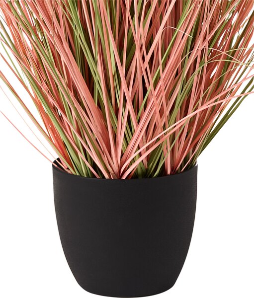 Műnövény BRISTLEGRASS 120 cm Narancssárga