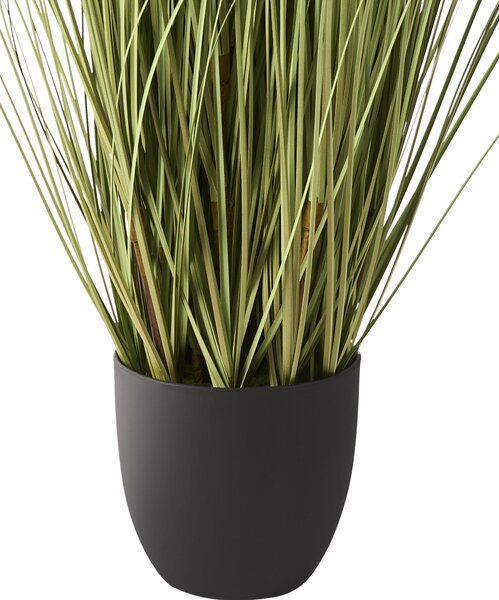 Műnövény CORTADERIA GRASS 120 cm Zöld