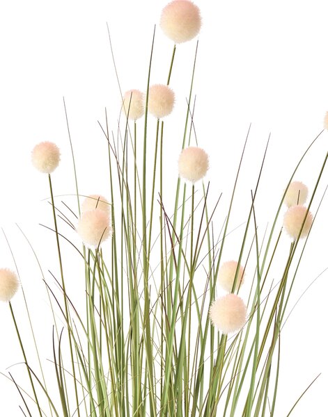 Műnövény POMPOM GRASS 120 cm Zöld