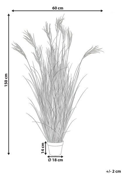 Műnövény CLAW FLOWER 150 cm Zöld