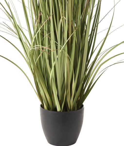 Műnövény POMPOM GRASS 120 cm Zöld