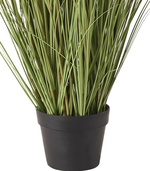Műnövény CLAW FLOWER 150 cm Zöld