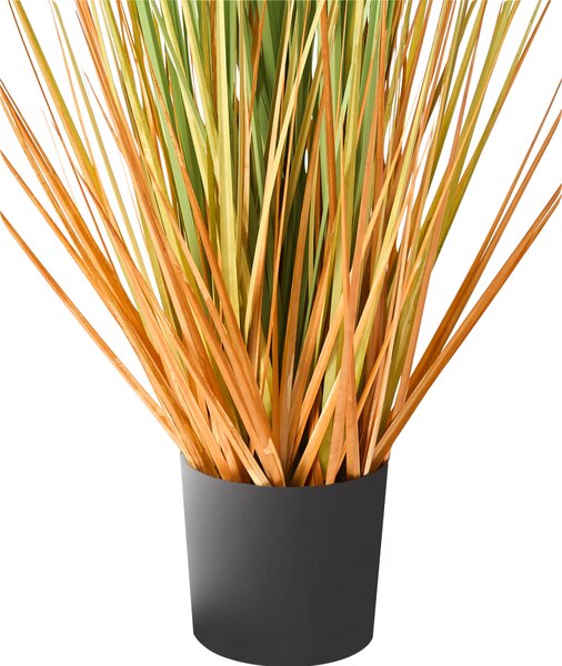 Műnövény BRISTLEGRASS 90 cm Zöld