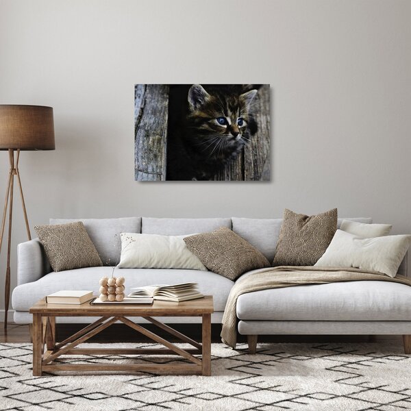 Cica képe (üvegen) (70x50 cm)