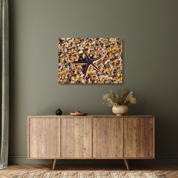 Egy tengeri csillag képe (üvegen) (70x50 cm)