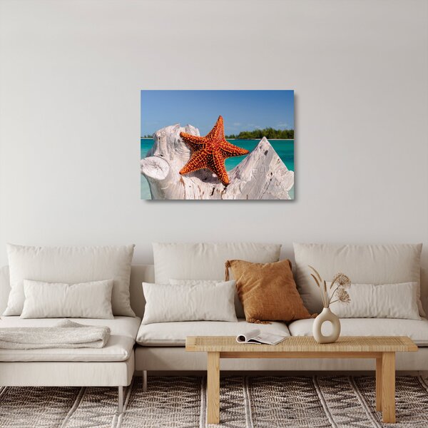 Egy tengeri csillag képe (üvegen) (70x50 cm)