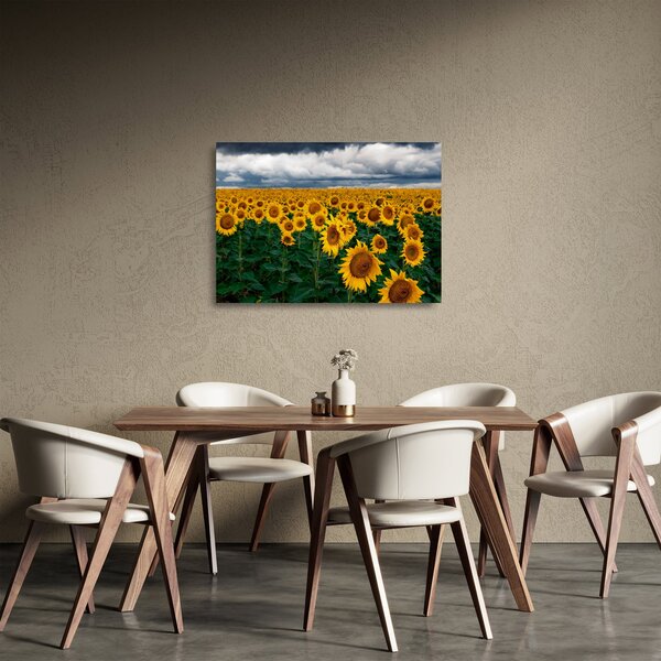 Napraforgó mező képe (üvegen) (70x50 cm)