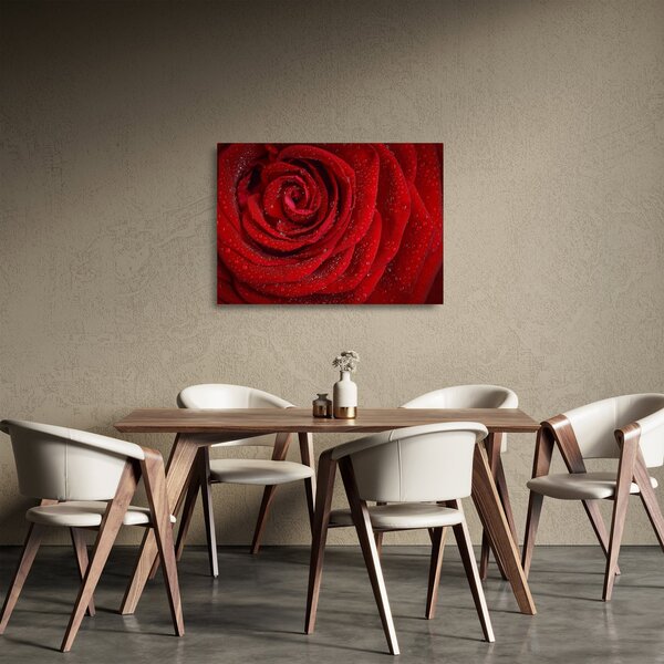 Kép - részlet a rózsáról (üvegen) (70x50 cm)