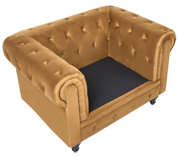 Fotel CHESTERFIELD Bársony Arany