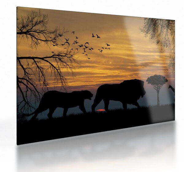 Safari képe (üvegen) (70x50 cm)