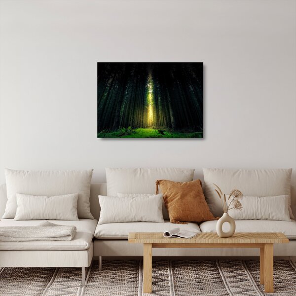 Sötét erdő képe (üvegen) (70x50 cm)
