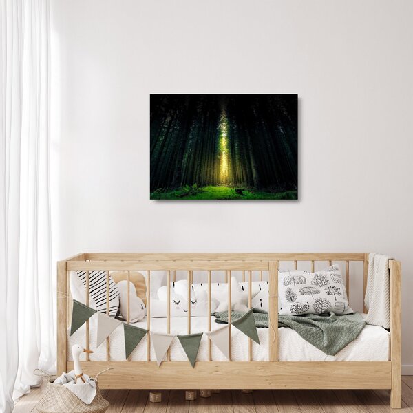 Sötét erdő képe (üvegen) (70x50 cm)