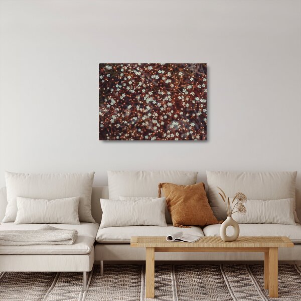 Erdei nefelejcs virág képe (üvegen) (70x50 cm)