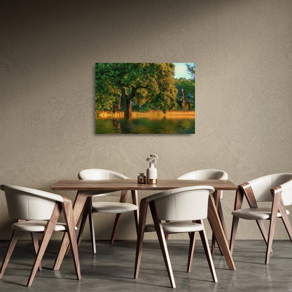 Zsiráf a természetben képe (üvegen) (70x50 cm)