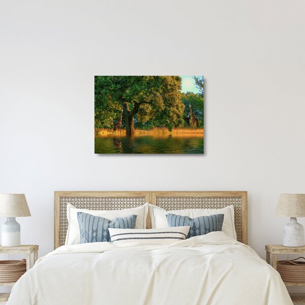 Zsiráf a természetben képe (üvegen) (70x50 cm)