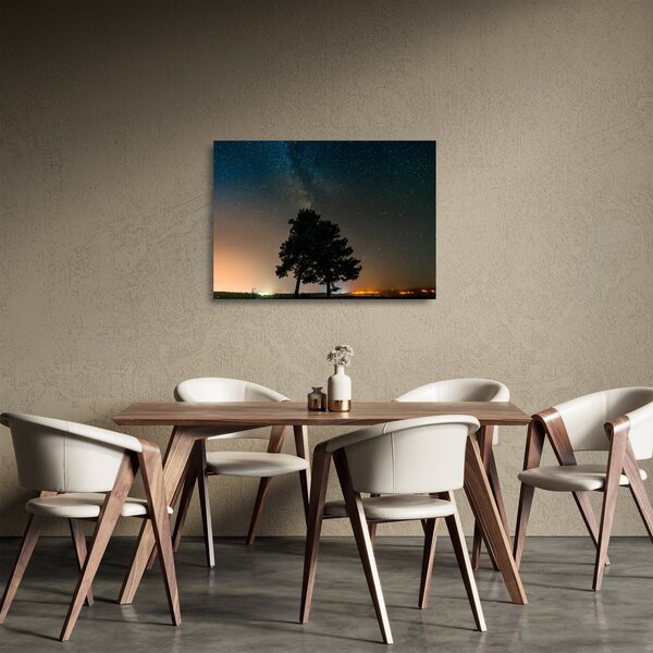 Egy éjszakai égbolt fákkal képe (üvegen) (70x50 cm)