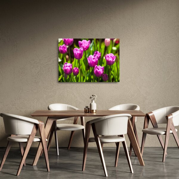 Tulipánok a réten képe (üvegen) (70x50 cm)