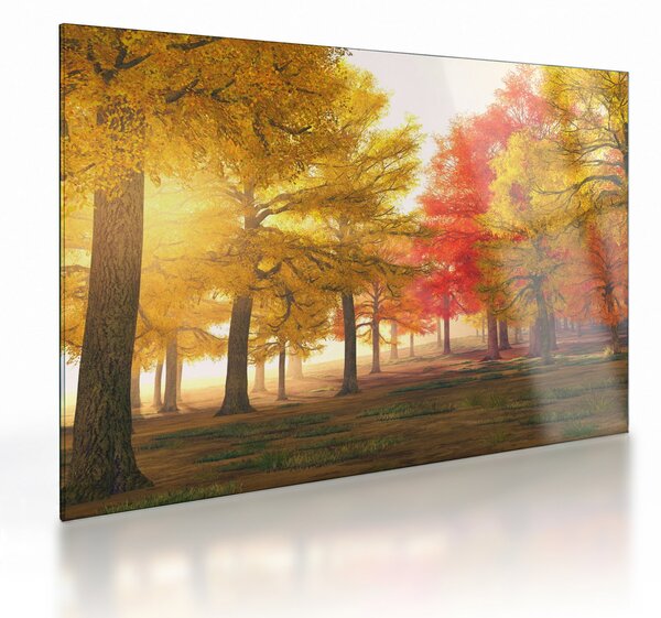Őszi fák képe (üvegen) (70x50 cm)