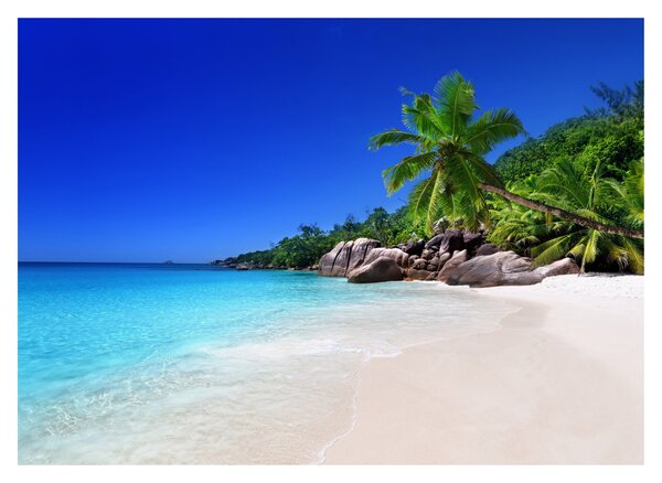 Kép a strandról a Praslin szigeten (üvegen) (70x50 cm)