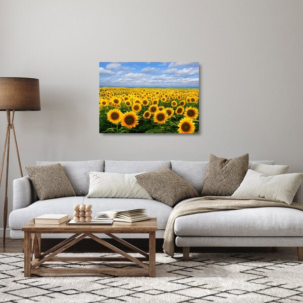A napraforgó mező képe (üvegen) (70x50 cm)