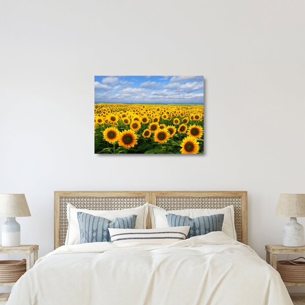 A napraforgó mező képe (üvegen) (70x50 cm)
