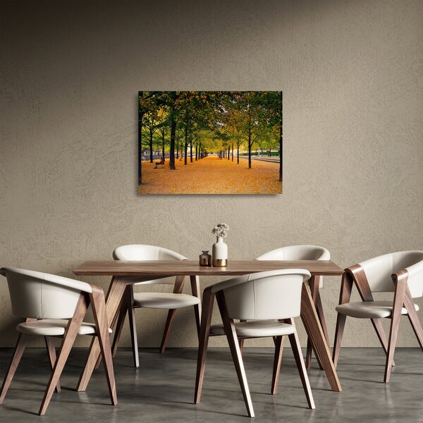 Egy kép az őszi fák sikátorából (üvegen) (70x50 cm)