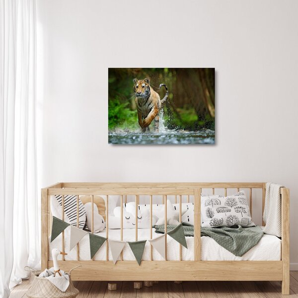 Futó tigris képe (üvegen) (70x50 cm)