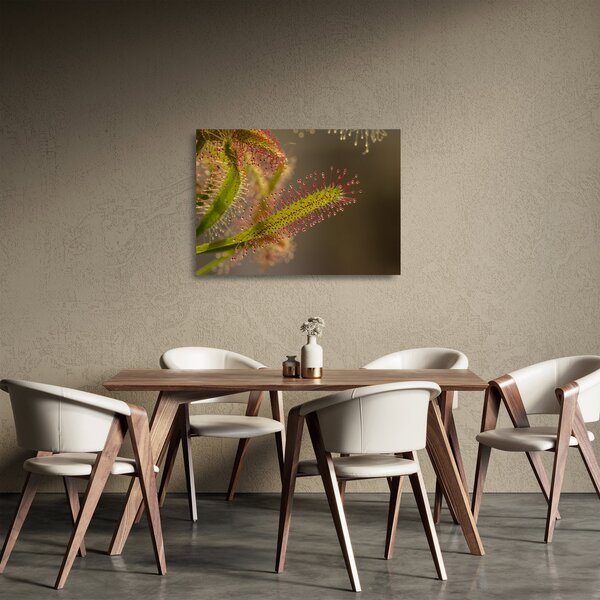 A növény képe (üvegen) (70x50 cm)