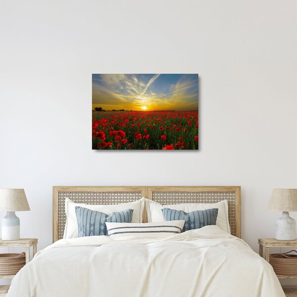 Egy kép a pipacs mezőről (üvegen) (70x50 cm)
