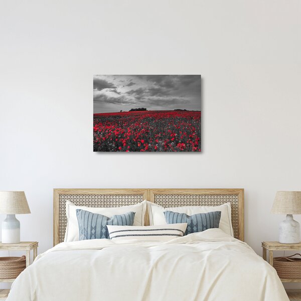 Pipacsos kép (üvegen) (70x50 cm)