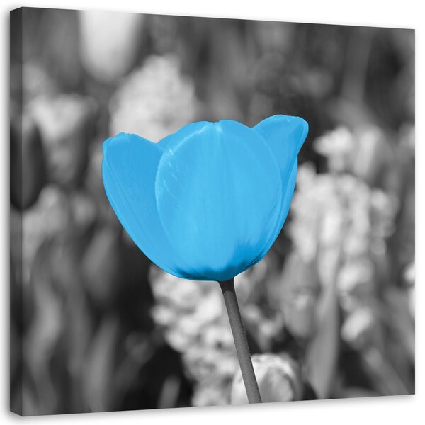 Gario Vászonkép Kék tulipán Méret: 30 x 30 cm