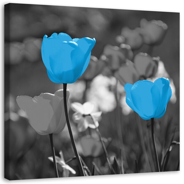 Gario Vászonkép Kék tulipánok a réten Méret: 30 x 30 cm