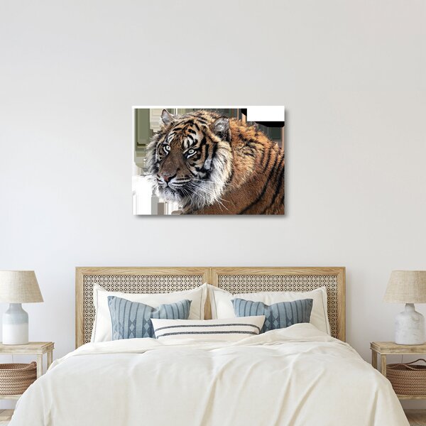 Tigris képe (üvegen) (70x50 cm)