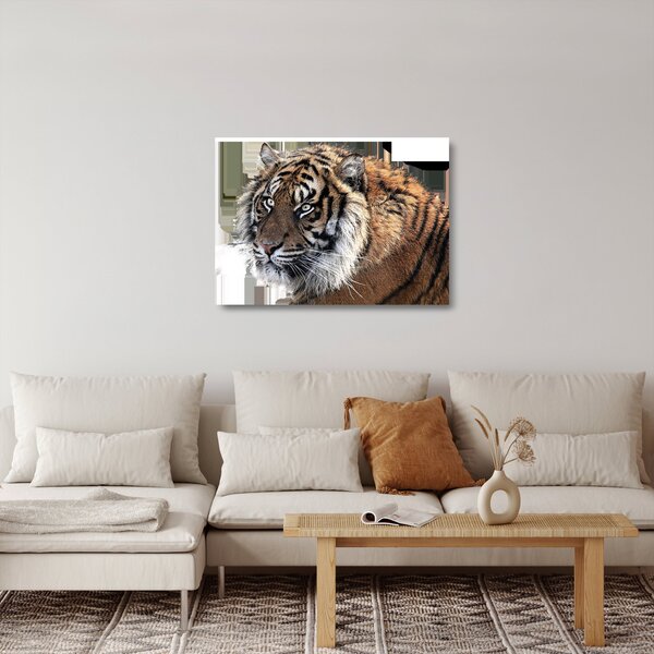 Tigris képe (üvegen) (70x50 cm)