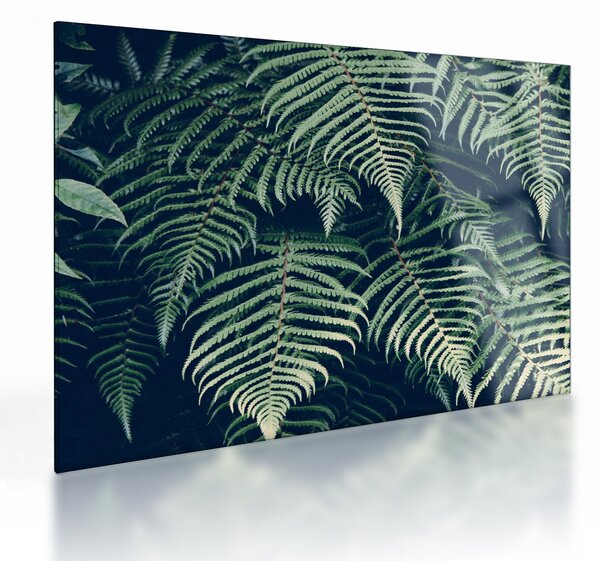 A páfrány levelek képe (üvegen) (70x50 cm)