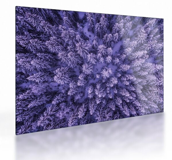 Havas fák képe (üvegen) (70x50 cm)