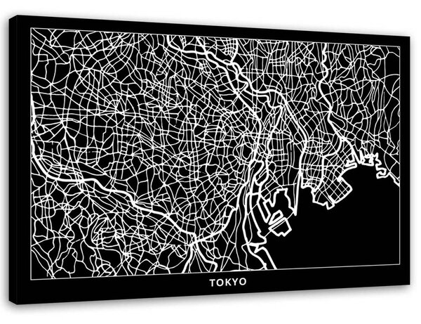 Gario Vászonkép Tokió város terve Méret: 60 x 40 cm