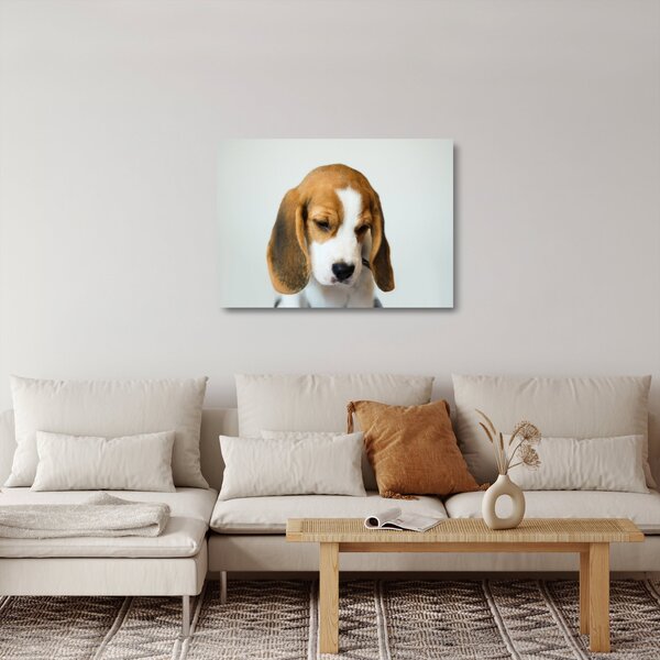 Beagle képe (üvegen) (70x50 cm)
