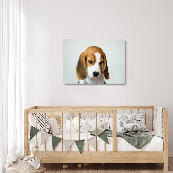 Beagle képe (üvegen) (70x50 cm)