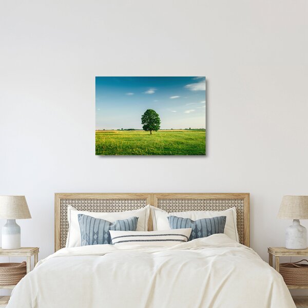 Fa képe a réten (üvegen) (70x50 cm)