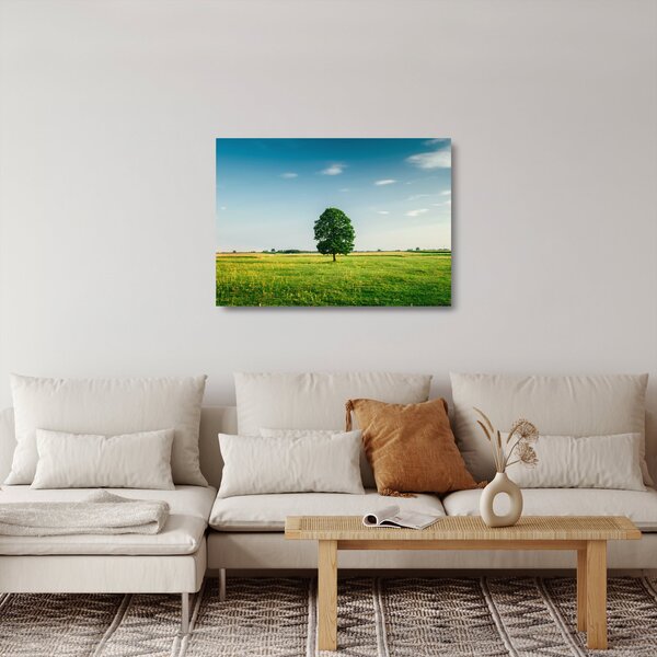 Fa képe a réten (üvegen) (70x50 cm)