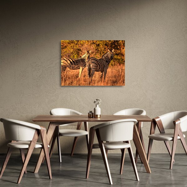 Zebrák képe (üvegen) (70x50 cm)