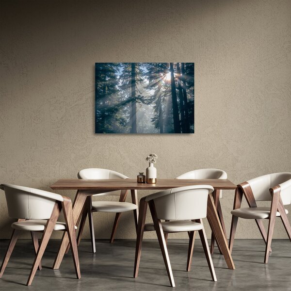 Fák képe a ragyogó nappal (üvegen) (70x50 cm)