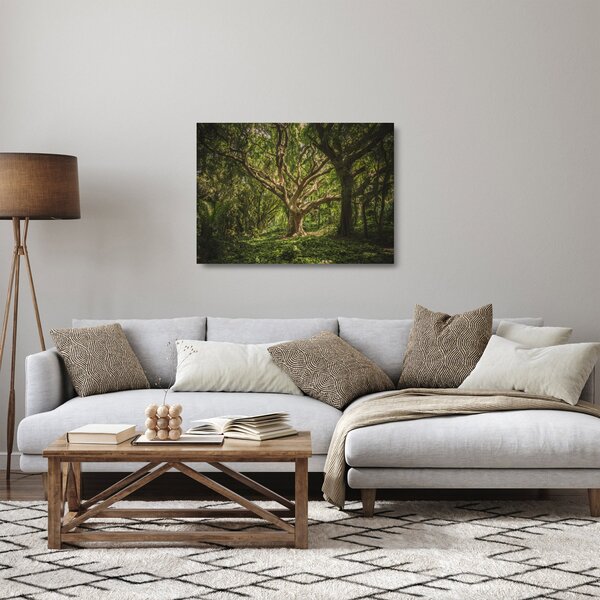 Fa képe (üvegen) (70x50 cm)