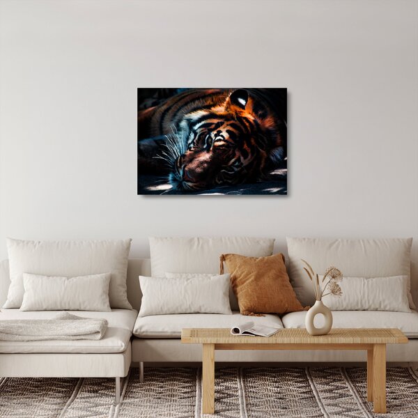 Egy fekvő tigris képe (üvegen) (70x50 cm)